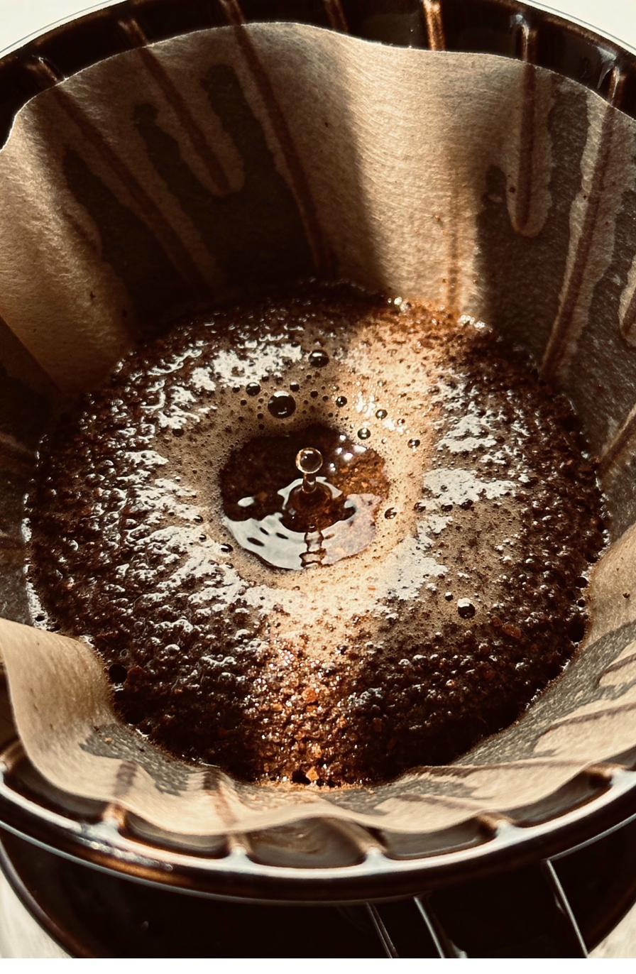 Fresh coffee bloom at 48 hours post-roast